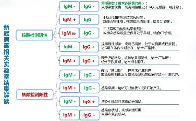 核酸检测是个什么原理_核酸检测的原理(3)