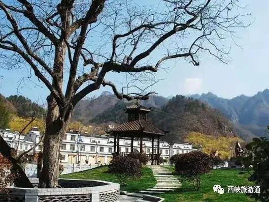 丁河猕猴桃小镇 鱼库特色民宿村,湾潭农耕文化园 丹水恐龙小镇,西峡