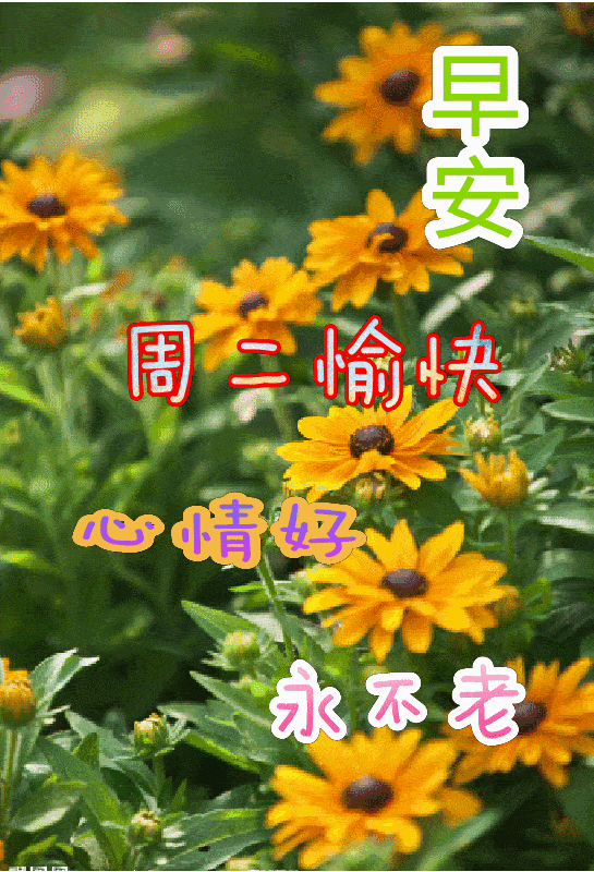 2020年4月21日最新温馨的早上好特漂亮的动态祝福图片