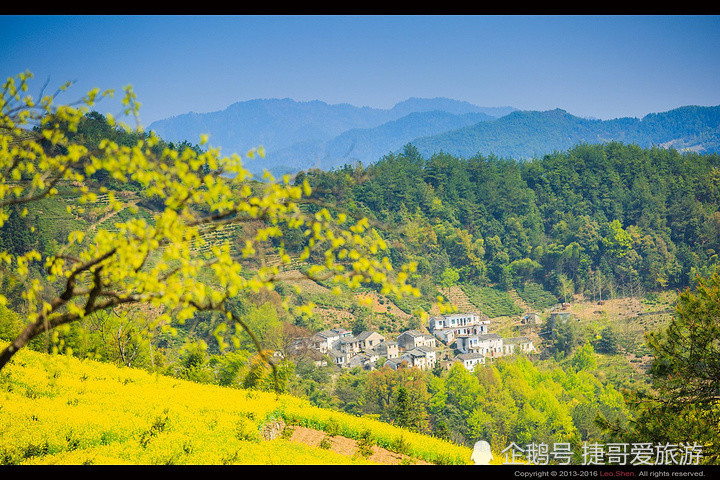 安徽省 黄山市 歙县 石潭村 油菜花海