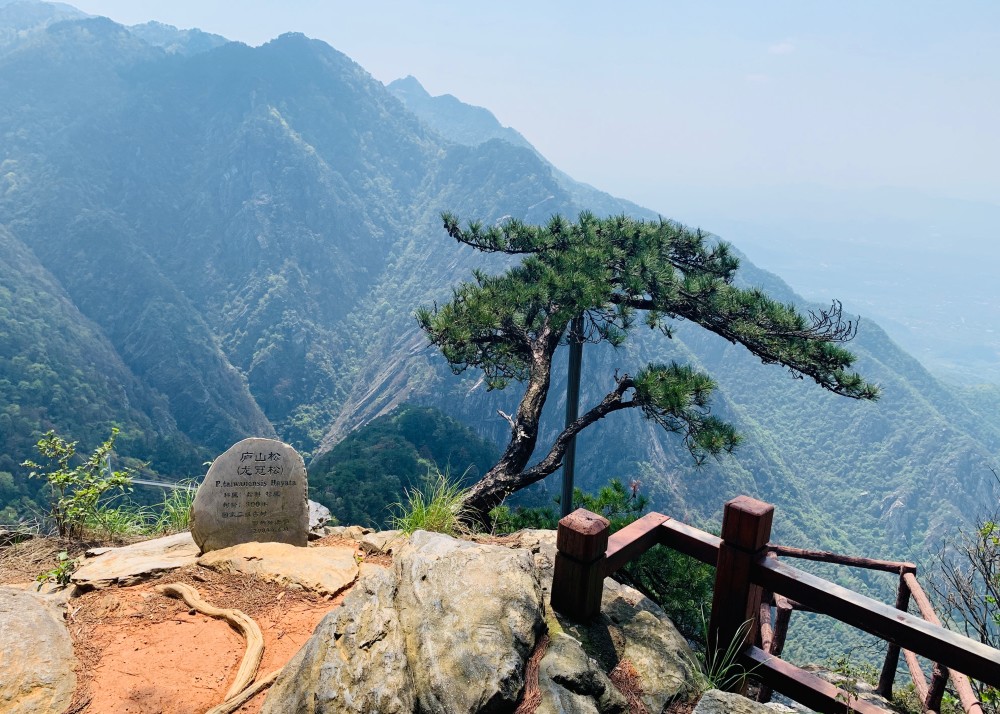 庐山印象之五龙首崖天池寺仙人洞险峰西线踏春游记