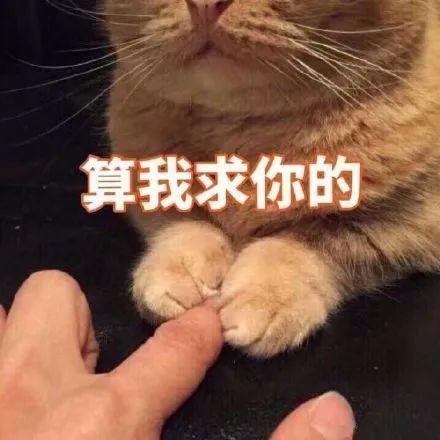 总是经过的太快,领悟的太晚,我们要学会珍惜.
