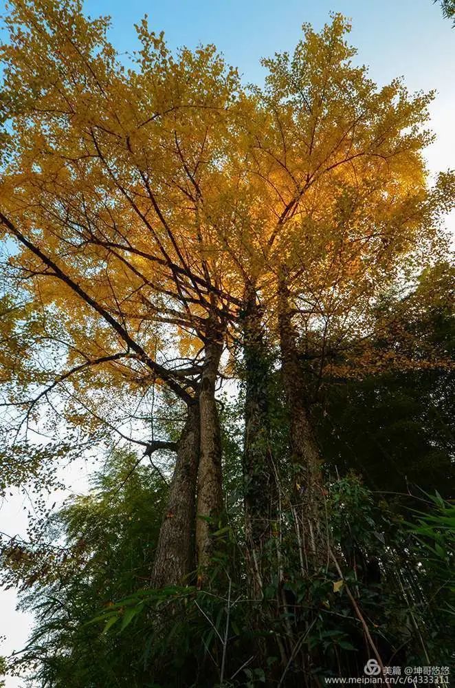 走进福建省第二批传统村落顺昌榜山村