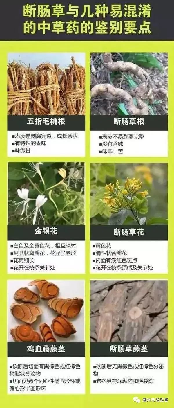 二,毒蘑菇,"断肠草"等野生植物毒性强,致死率高