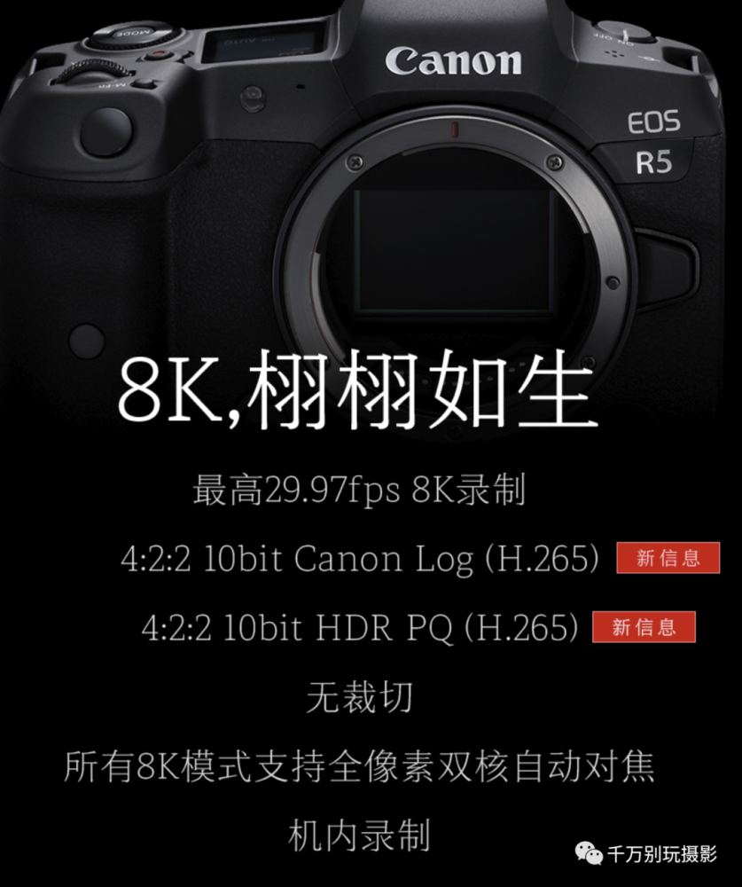 连续暴击这谁受得了?佳能eos r5新参数向李安致敬