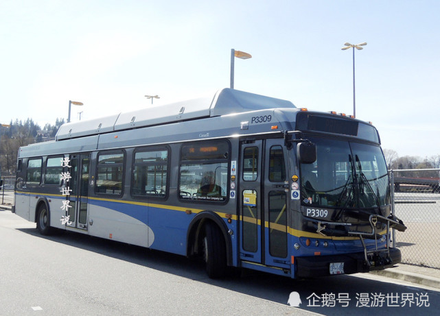 在加拿大乘公交车,你需要做这个动作才能下车,否则司机不开门