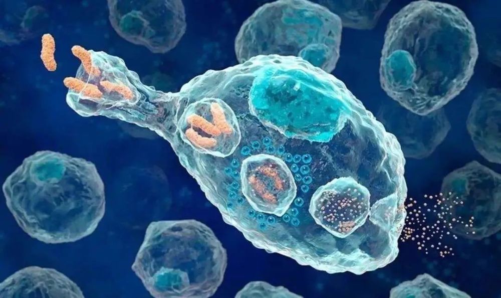 杀伤性t细胞是人体免疫的杀手锏更是抗击癌症的新希望