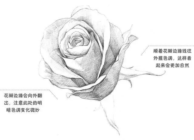 婚纱画法素描画_婚纱素描画(3)