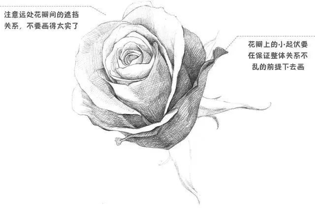 婚纱画法素描画_婚纱素描画(2)
