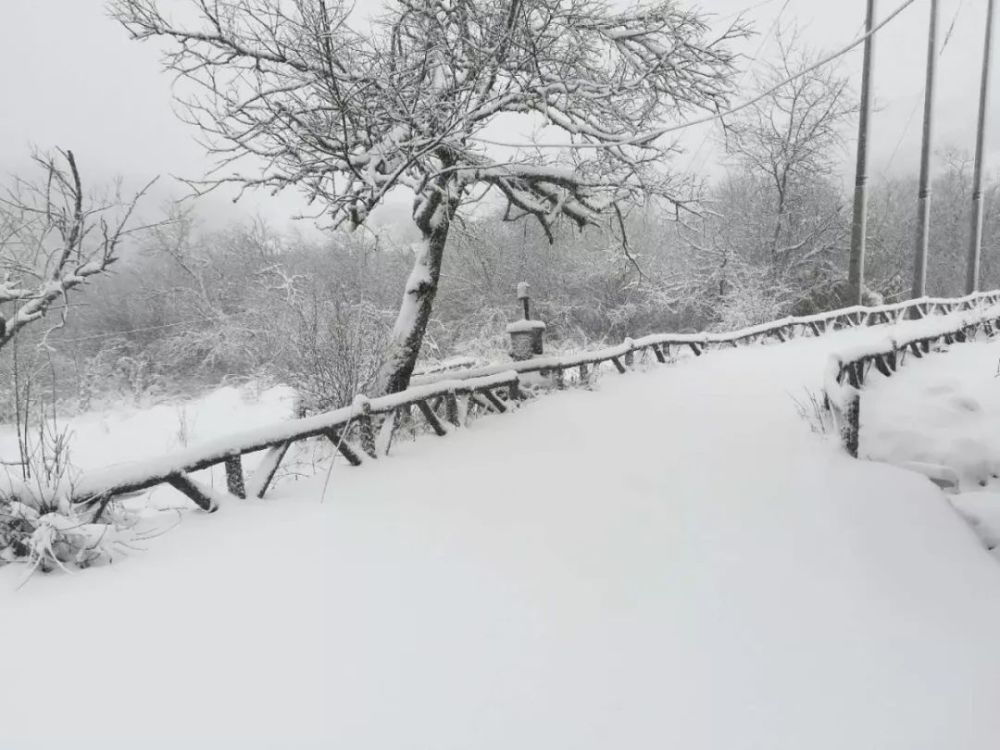 今天,城口竟然下雪啦!