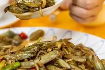广东的又一美食胜地——雷州市