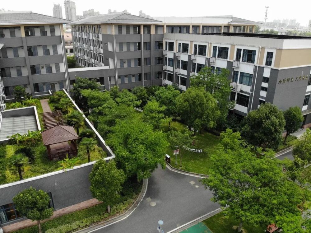 上外松外学校开学工作指南
