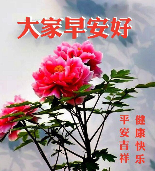 清晨问候大家的早上好漂亮表情图片,2021年早安温馨祝福语