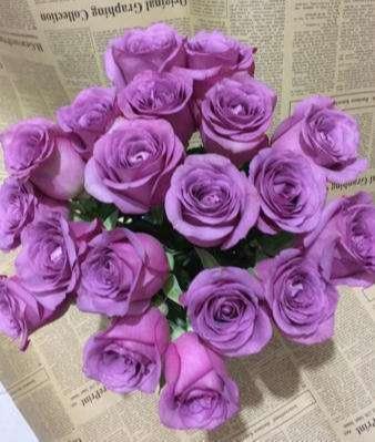 送花对象:朋友,恋人 紫玫瑰花语:成熟的爱,你的幸福比我的重要.