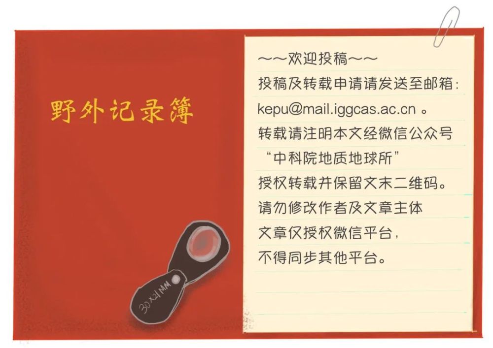 假化石鉴别指南