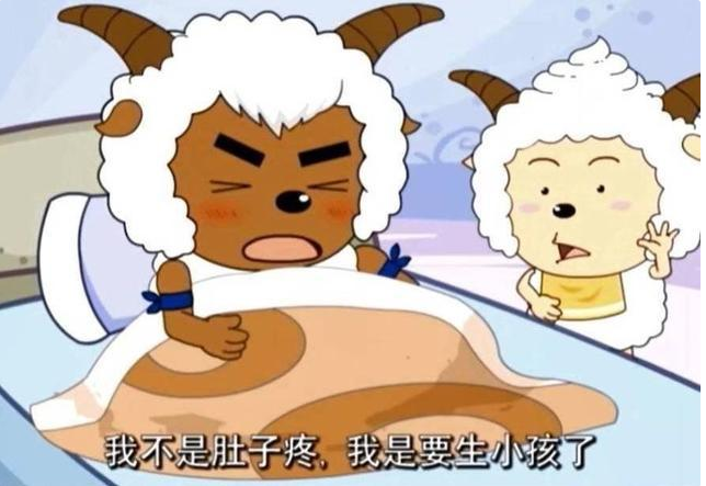 喜羊羊:沸羊羊意外"怀孕",孩子他爸竟然是懒羊羊?网友:喜当爹!