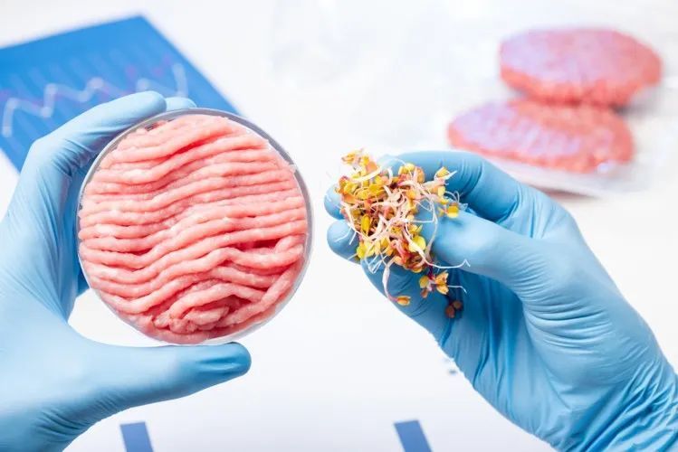 研究显示,相比普通肉类,消费者愿意多花40%的钱购买人造肉