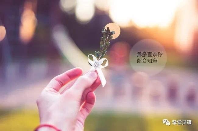 挽回感情的成功率是这样判断的