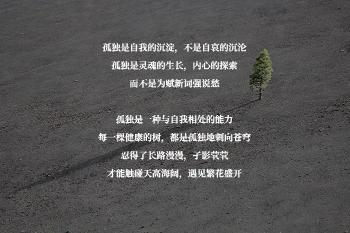 孤独,给人带来了冷清与寥落,亦给予人们机会,变得更加清醒和优秀.