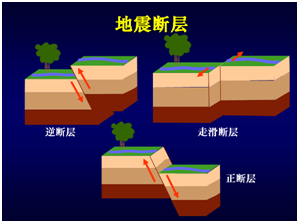 最主要的原因: 海底地震,特别是以沿断层面上,下错