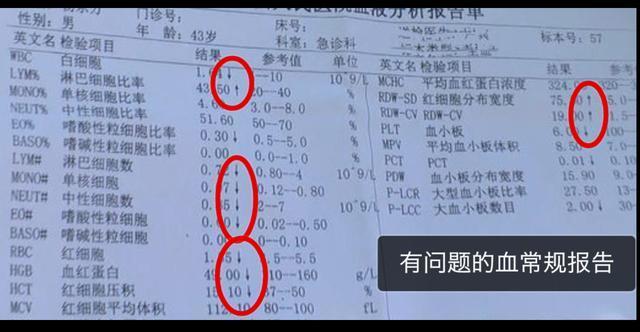 如何查看血常规化验单-贫血篇