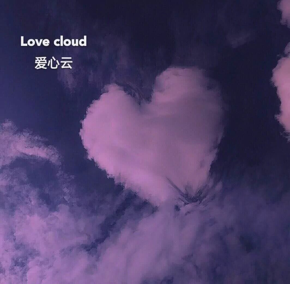 ins背景图:我终是得不到你,明目张胆的偏爱和喜欢!
