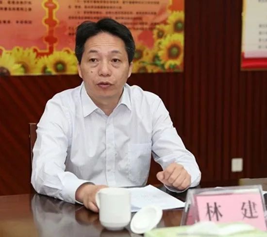 林建任厦门副市长林飞任福州市委副书记