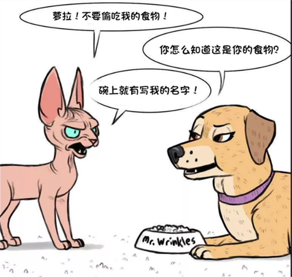 暖心漫画军犬总是把无毛猫误认成来自外太空一身皱纹的无毛猫有口难辩