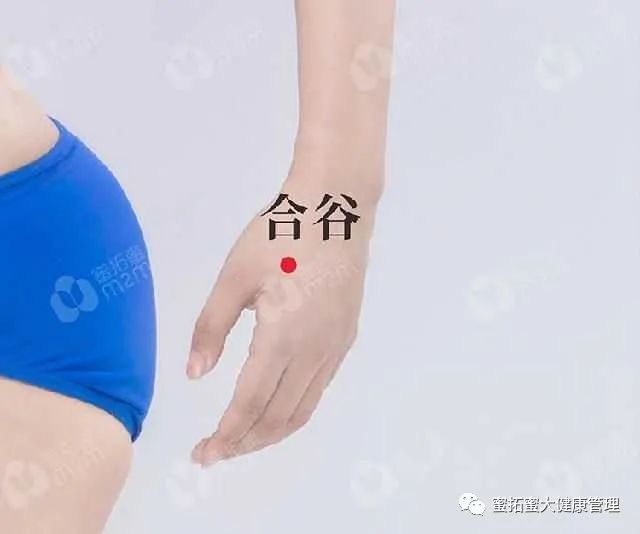 详解:面口合谷收