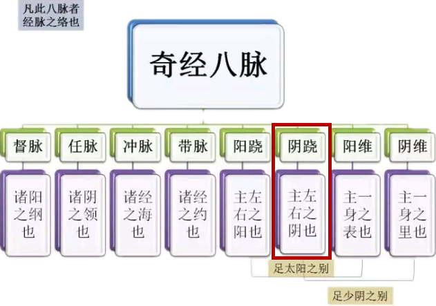 用好它,慢性咽炎,肩周炎,慢慢不见了!