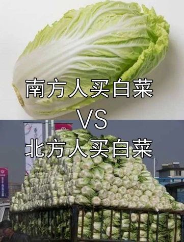 《南方人vs北方人》之日常买菜生活