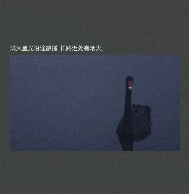 "轻微抑郁"的文案:那就一起,头也不回的向着光亮走下去吧!