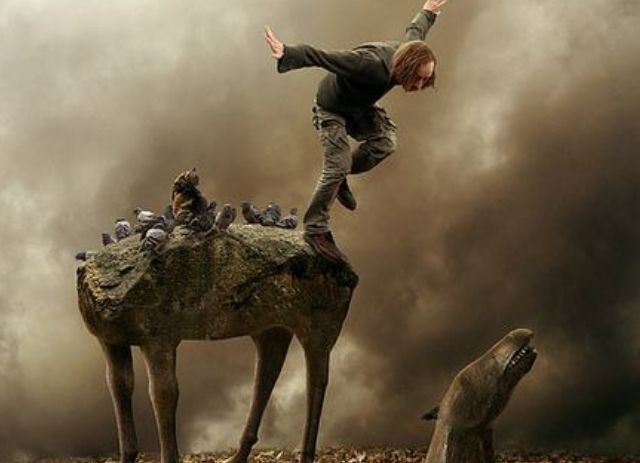 梦回蜈蚣，解密潜意识中的挣扎与重生