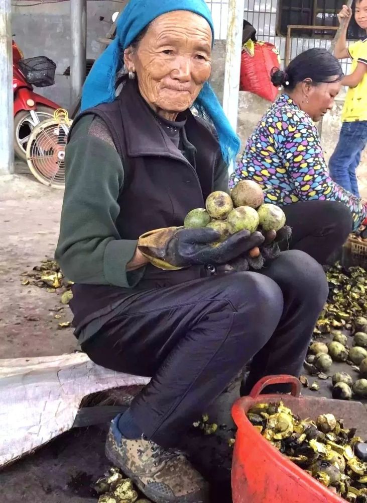 大姚县有多少人口_大姚县人民医院图片(2)
