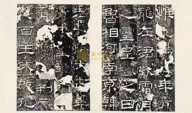 人口皆碑_李宁大学生联赛南区参赛球队介绍 同济大学(2)