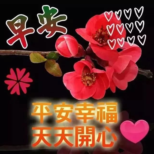 大家早上好,早安微信问候语祝福精选,早上好问候祝福短信