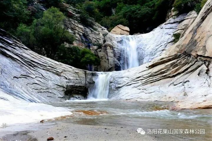 花果山!宜阳人免门票了!