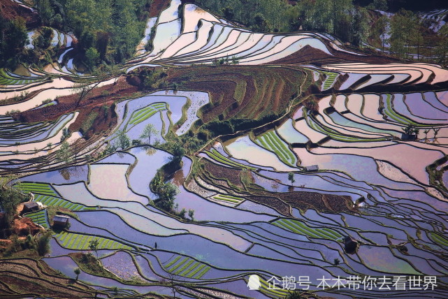 云南这处梯田景观,是哈尼族人1300年的杰作,规模宏大,气势磅礴