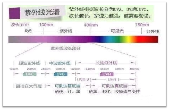 夏季来了,你的眼睛防晒了吗|紫外线|隐形眼镜|镜片