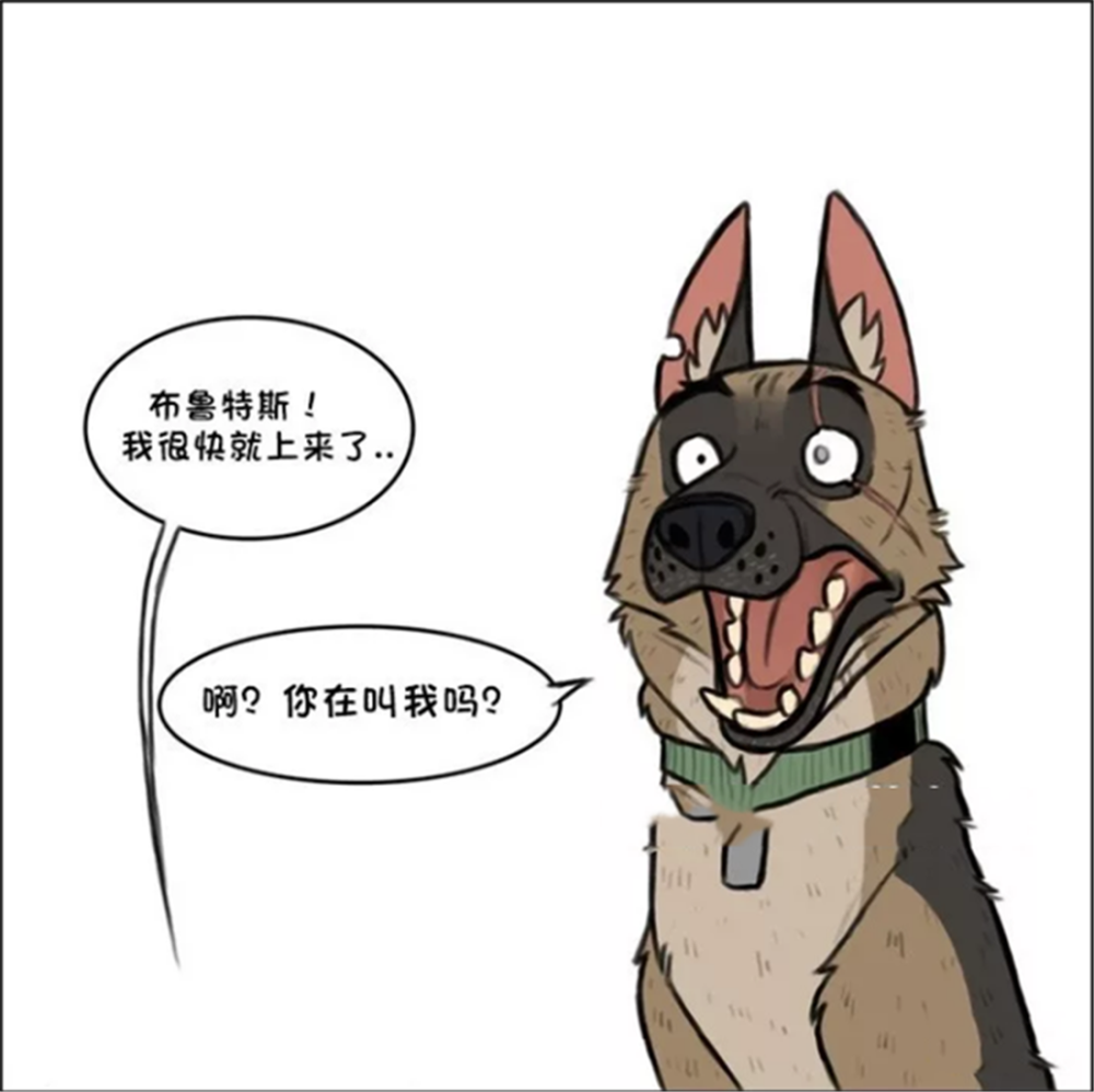 搞笑漫画军犬请小家猫到家里做客小短腿爬楼梯很是费劲军犬耐心等待