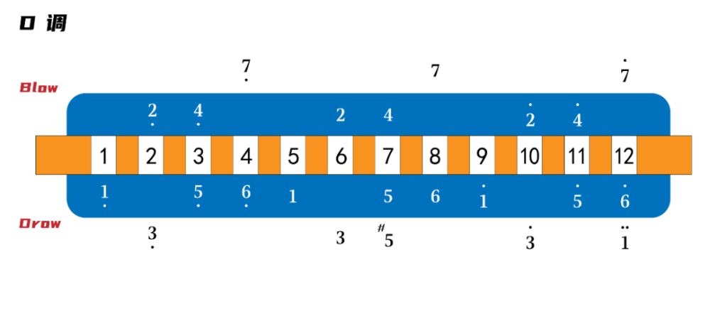 半音阶口琴d调音阶图,再来首《画》的bd谱!