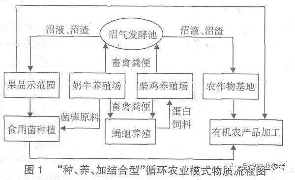 循环农业的5种模式