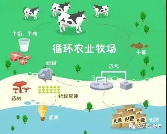 创意农业循环经济模式