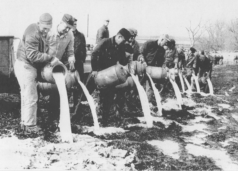 1929年,美国奶农倒牛奶到密西西比河,为何不送给穷人?