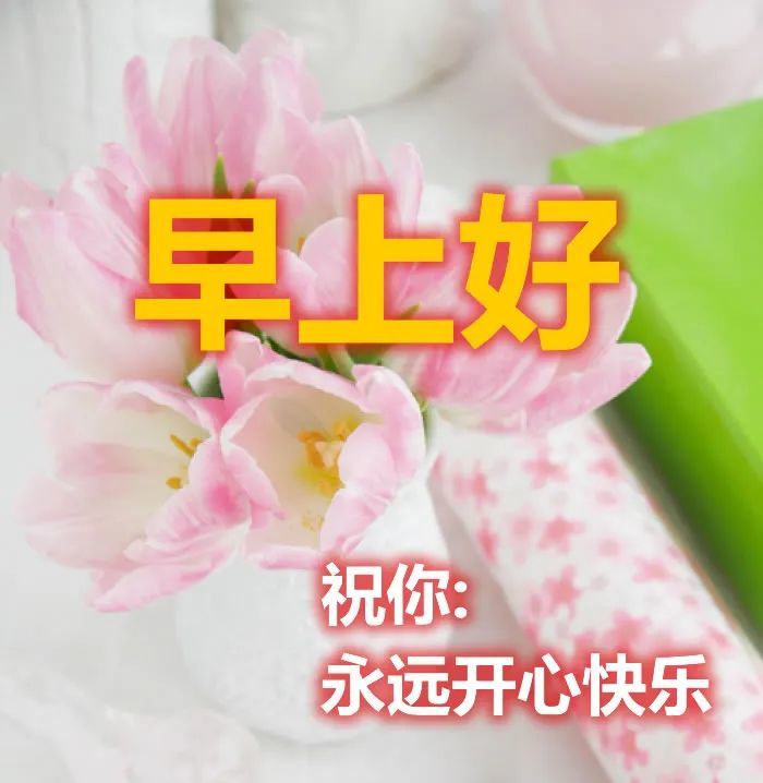 4月25日 清晨,早安一声祝福,祝愿远方亲爱的朋友,福体