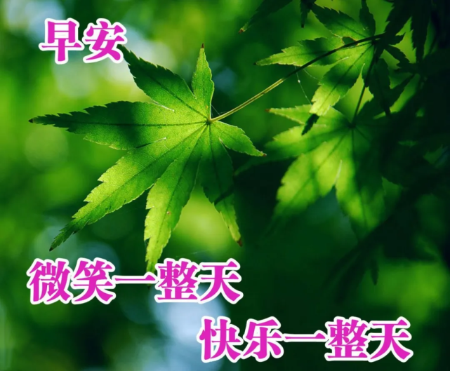 早上好最火的早安暖心问候语 特别漂亮的美女图片带字