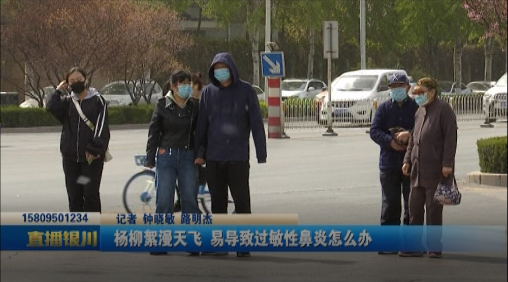 而杨柳絮则是许多患者的致敏原