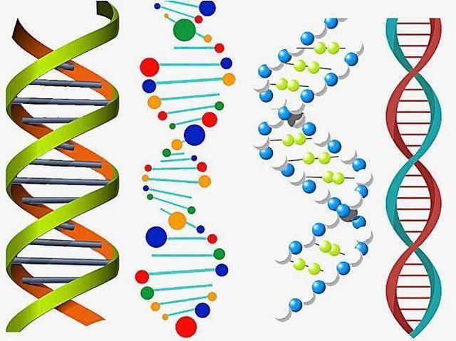 医学史上的4月25日科学家指出脱氧核糖核酸是双螺旋结构