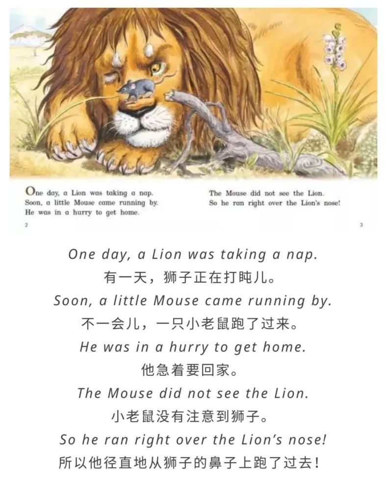 英语短篇故事:《the lion and the mouse》