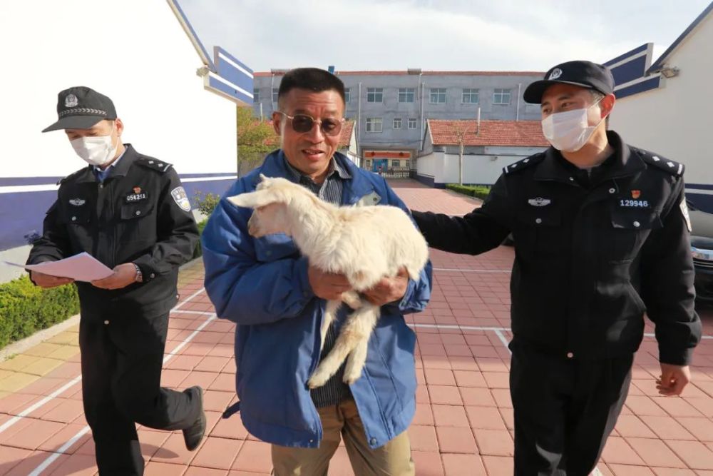 事发安丘金冢子镇!嫌疑人仅19小时就被抓了